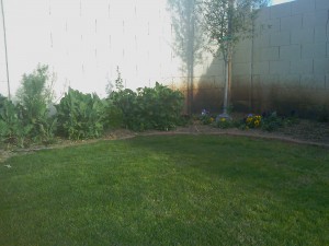 IMAGE_022 IMAGE_022