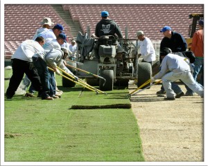 Rose Bowl 1 Rose Bowl install 12/09