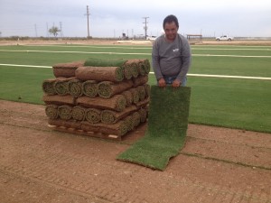 Sod ready to head to your home