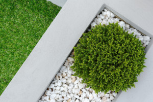 Arifzona Sod Landscape