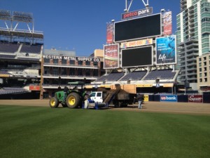 Turf Removal